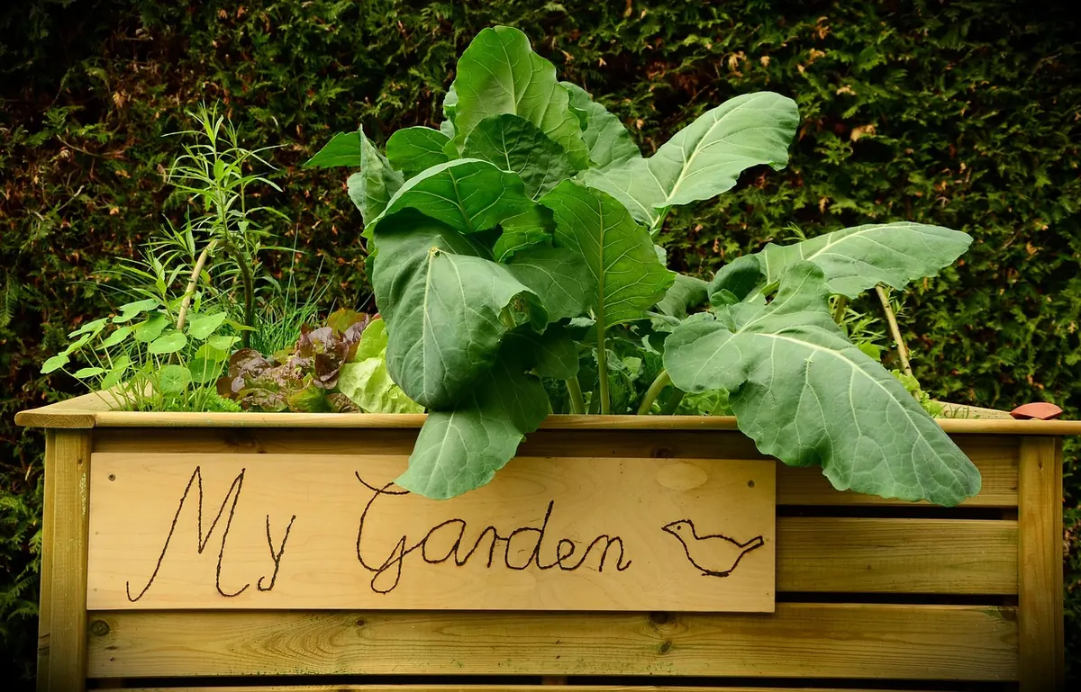 How to Build a Simple Raised Bed from Scaffold Boards